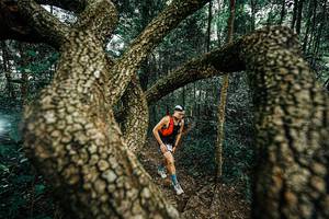 BIB: 
                            <button type="button" onclick="openModal(25394053)" class="btn btn-primary btn-sm float-right btn-popup" data-toggle="modal" data-target=".modal-high-quality">
                        <i class="fas fa-shopping-cart"></i> Add to Cart
                    </button>
                                            <button type="button" onclick="isThisMe(25394053, true)" class="btn btn-success btn-sm float-right btn-popup btn-isme hidden" data-toggle="tooltip" data-placement="bottom" title="นี่คือรูปของคุณใช่ไหม คลิกที่นี่เพื่อเอาเข้าอัลบั้ม">
                        <i class="fas fa-plus"></i> Add to album
                    </button>
                    <button type="button" onclick="isThisMe(25394053, false)" class="btn btn-warning btn-sm float-right btn-popup btn-isnotme hidden">
                        <i class="fas fa-ban"></i> Remove from album
                    </button>